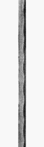 integrale Giovanna
